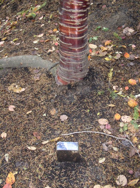 11.06.05 Wildwood Trail 010 